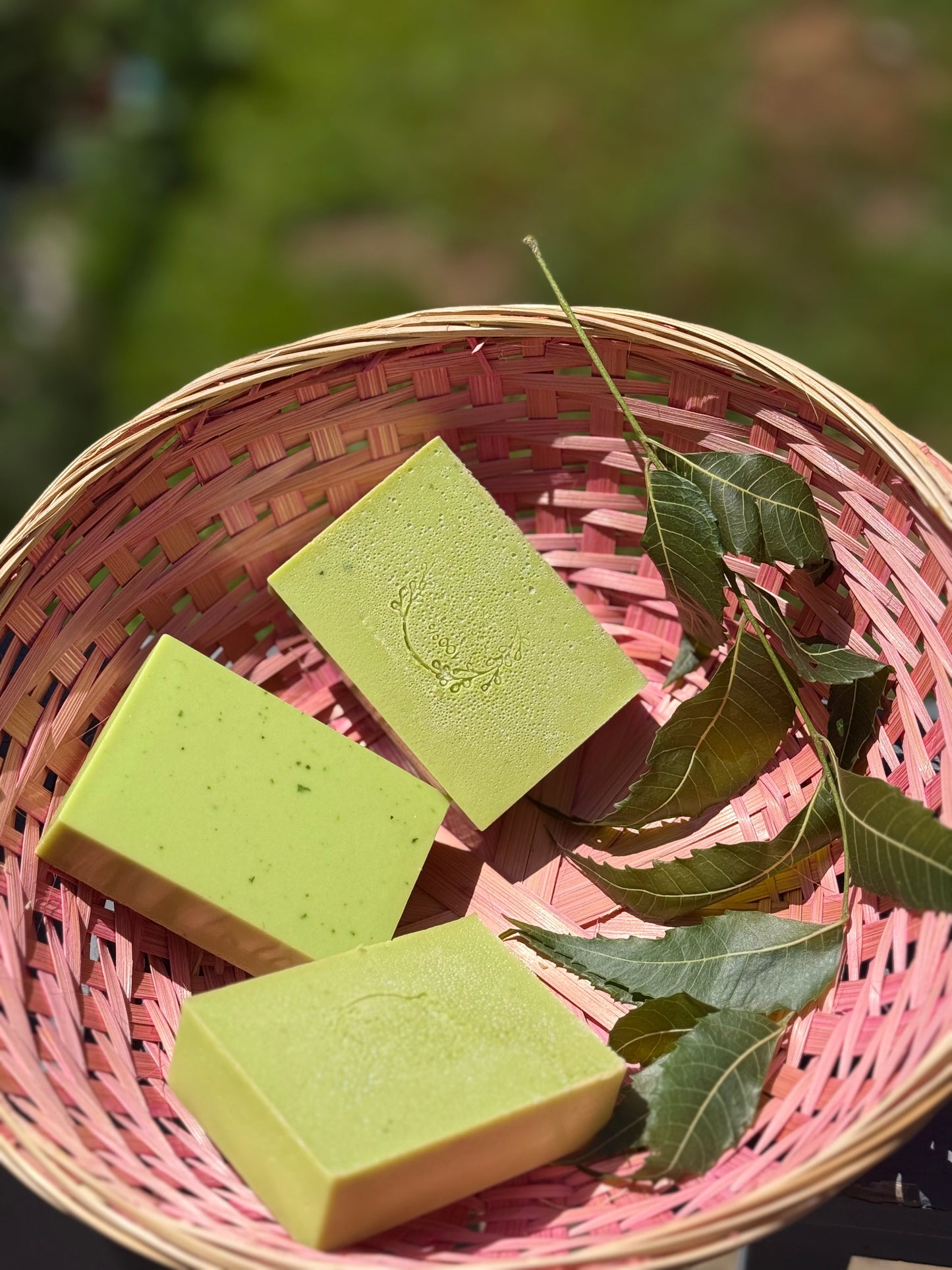 Cerasee and neem soap